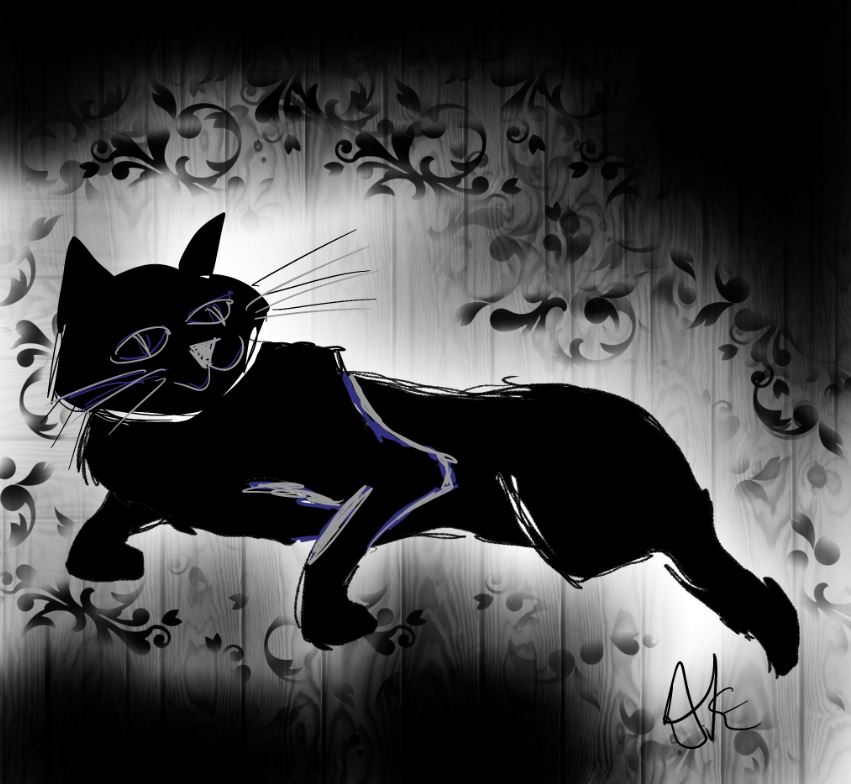 Logo, black cat
